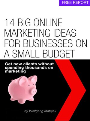 cover image of 14 Big Online Marketing Ideas For Small Businesses On a Small Budget